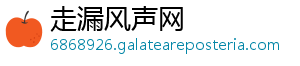 走漏风声网